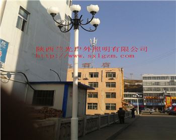 青海中華燈-陜北道路照明項(xiàng)目