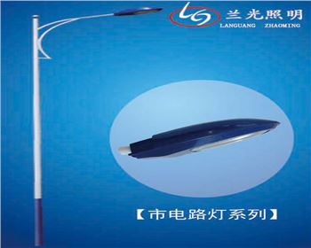 寧夏8米市電路燈